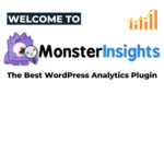 MonsterInsights Pro - Google Analytics Premium (+ Addons)
